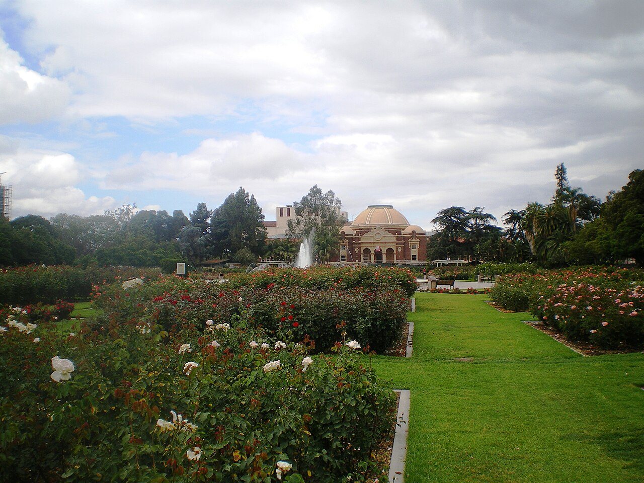 Exposition Park Rose Garden in Los Angeles, photographed in May 2008