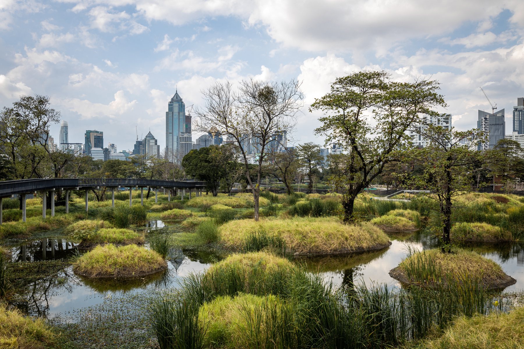 Wetland planting and walkways at Benjakitti Forest Park, photographed in 2021